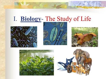 I. Biology- The Study of Life. A. What is the Value of Biology? 1. It enables us to live longer healthier lives 2. It helps us to understand how we live.