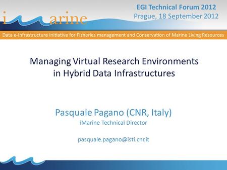 Managing Virtual Research Environments in Hybrid Data Infrastructures Pasquale Pagano (CNR, Italy) iMarine Technical Director