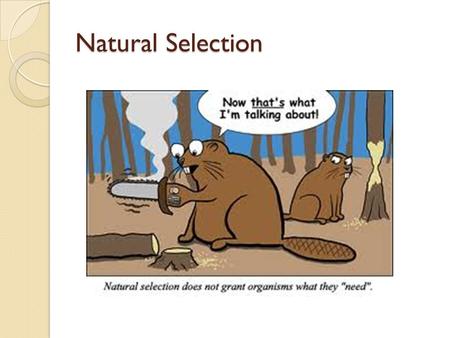 Natural Selection. Evolution by Natural Selection.