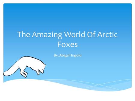 The Amazing World Of Arctic Foxes By: Abigail Ingold.
