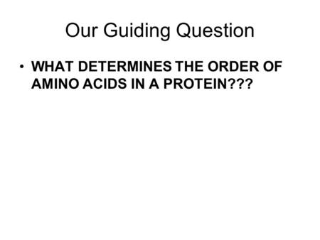 Our Guiding Question WHAT DETERMINES THE ORDER OF AMINO ACIDS IN A PROTEIN???