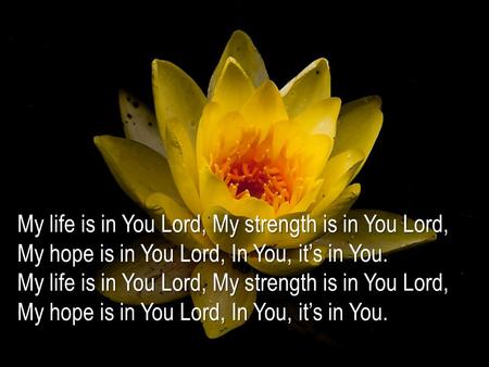 My life is in You Lord, My strength is in You Lord, My hope is in You Lord, In You, it’s in You. My life is in You Lord, My strength is in You Lord, My.