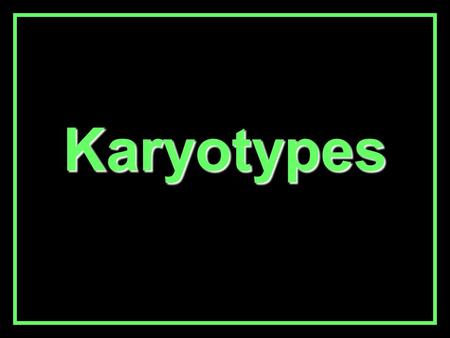Karyotypes. Karyotypes DefinitionDefinition - A picture of chromosomes cut out and grouped together. Typical human karyotype: –46 total chromosomes –23.