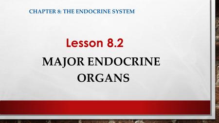 Major Endocrine Organs