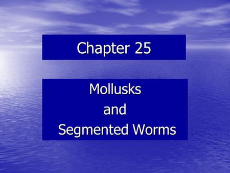 Chapter 25 Mollusksand Segmented Worms Segmented Worms.