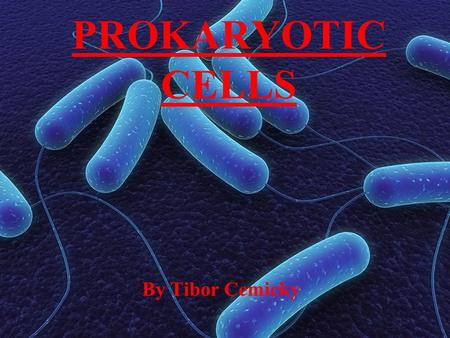 PROKARYOTIC CELLS By Tibor Cemicky. 2 Main Types of Cells Prokaryotic Cells = Primitive Cells Eukaryotic Cells = much more complex Animal / Plant Cells.