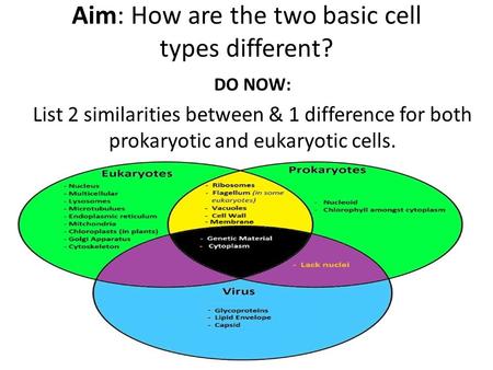 Aim: How are the two basic cell types different? DO NOW: List 2 similarities between & 1 difference for both prokaryotic and eukaryotic cells.