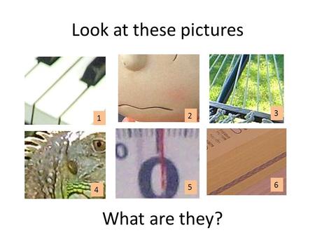 Look at these pictures What are they? 1 2 3 4 5 6.