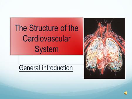 The Structure of the Cardiovascular System General introduction.