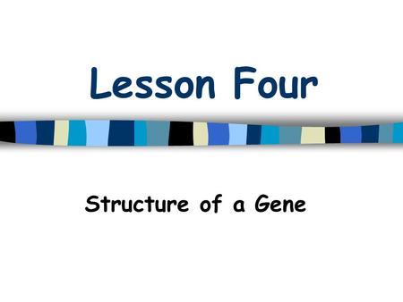 Lesson Four Structure of a Gene. Gene Structure What is a gene? Gene: a unit of DNA on a chromosome that codes for a protein(s) –Exons –Introns –Promoter.