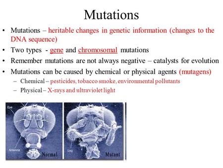Mutations Mutations – heritable changes in genetic information (changes to the DNA sequence) Two types - gene and chromosomal mutations Remember mutations.