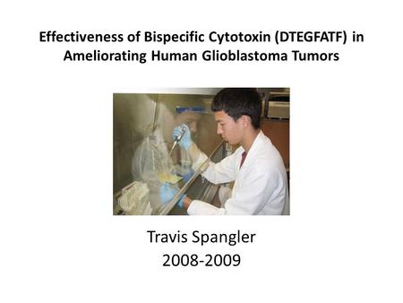 Effectiveness of Bispecific Cytotoxin (DTEGFATF) in Ameliorating Human Glioblastoma Tumors Travis Spangler 2008-2009.