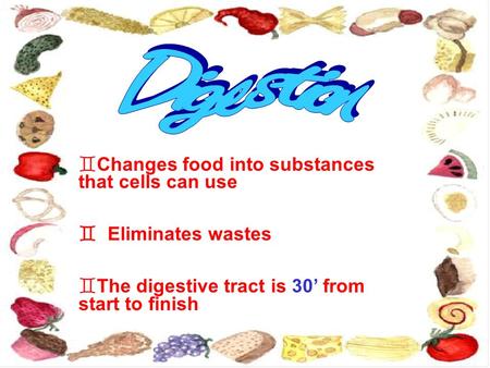  Changes food into substances that cells can use  Eliminates wastes  The digestive tract is 30’ from start to finish.