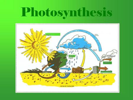 Photosynthesis. What is Photosynthesis? Photosynthesis uses the energy of sunlight to convert water and carbon dioxide into high energy sugars and oxygen.