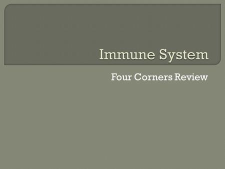 Four Corners Review. A. The skin and mucous membrane B. Helper T Cells C. B Cells D. Antibodies.