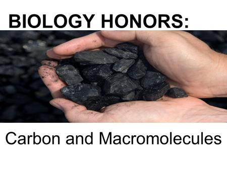 BIOLOGY HONORS: Carbon and Macromolecules. Which of these major elements can make the most bonds? Which of these major elements can make most varied bond.