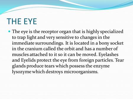 THE EYE The eye is the receptor organ that is highly specialized to trap light and very sensitive to changes in the immediate surroundings. It is located.