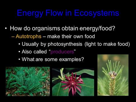 Energy Flow in Ecosystems How do organisms obtain energy/food? –Autotrophs – make their own food Usually by photosynthesis (light to make food) Also called.