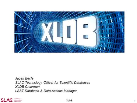 1 XLDB Jacek Becla SLAC Technology Officer for Scientific Databases XLDB Chairman LSST Database & Data Access Manager.