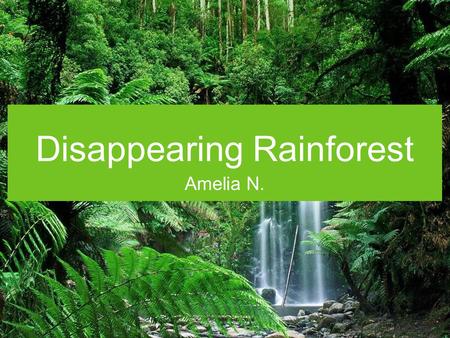 Disappearing Rainforest Amelia N.. What are Rain Forests? Rainforests are very thick, warm, wet forests, and are home to millions of plants and animals.