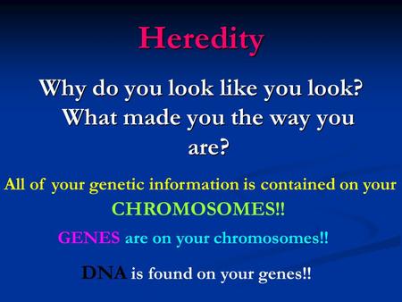 Heredity Why do you look like you look? What made you the way you are? All of your genetic information is contained on your CHROMOSOMES!! GENES are on.