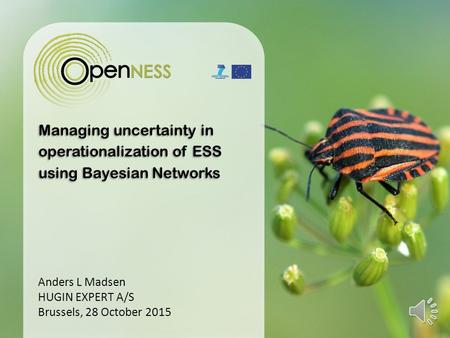Managing uncertainty in operationalization of ESS using Bayesian Networks Anders L Madsen HUGIN EXPERT A/S Brussels, 28 October 2015.