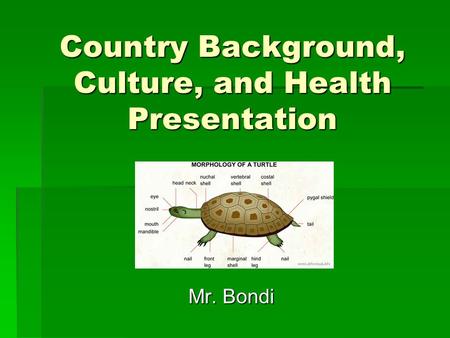 Country Background, Culture, and Health Presentation Mr. Bondi Mr. Bondi.