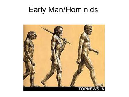 Early Man/Hominids.