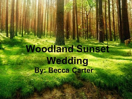 Woodland Sunset Wedding By: Becca Carter. Theme Explanation The “Woodland Sunset Wedding” theme is whimsical and vintage-inspired, yet vibrant and modern.