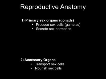 Reproductive Anatomy 1)Primary sex organs (gonads) Produce sex cells (gametes) Secrete sex hormones 2) Accessory Organs Transport sex cells Nourish sex.