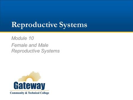 Reproductive Systems Module 10 Female and Male Reproductive Systems.