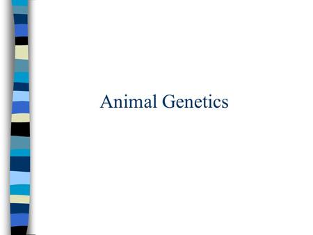 Animal Genetics. ANIMAL GENETICS Differences in animals are brought about by 2 groups of factors: genetic and environmental factors. One set of differences.