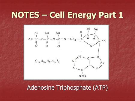 NOTES – Cell Energy Part 1 Adenosine Triphosphate (ATP)