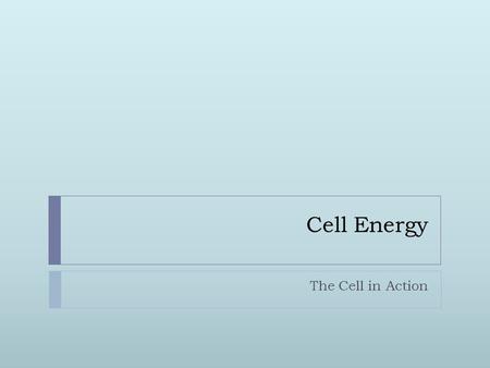 Cell Energy The Cell in Action. Cell Energy  Why do you get hungry?  Feeling hungry is your body’s way of telling you that your cells need energy.