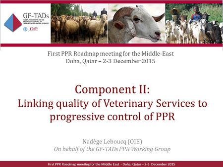 Component II: Linking quality of Veterinary Services to progressive control of PPR Nadège Leboucq (OIE) On behalf of the GF-TADs PPR Working Group First.