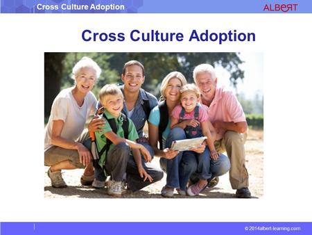 Cross Culture Adoption