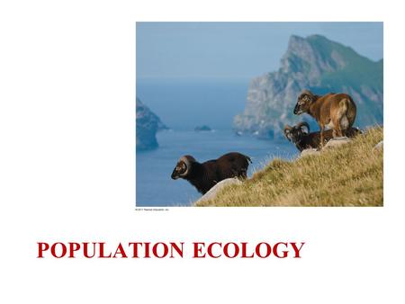 POPULATION ECOLOGY. You Must Know: How density, dispersion, and demographics can describe a population. The differences between exponential and logistic.
