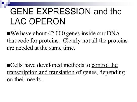 GENE EXPRESSION and the LAC OPERON We have about 42 000 genes inside our DNA that code for proteins. Clearly not all the proteins are needed at the same.