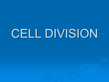 CELL DIVISION. Cell Division  One cell  Two identical cells  Cells must be able to pass on ALL information from their DNA  So DNA must be replicated.