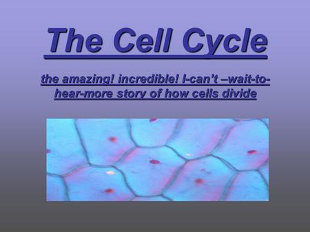 The Cell Cycle the amazing! incredible! I-can’t –wait-to- hear-more story of how cells divide.
