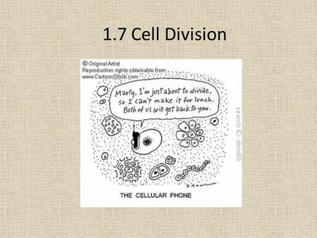 1.7 Cell Division.