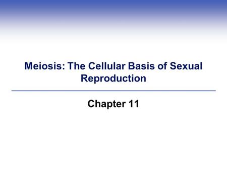 Meiosis: The Cellular Basis of Sexual Reproduction Chapter 11.