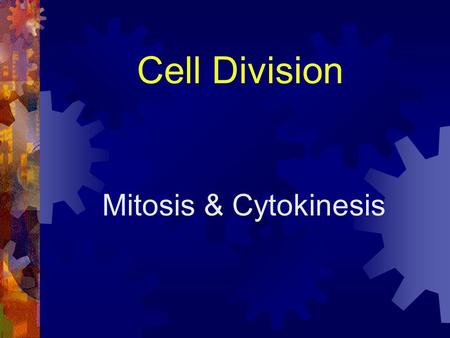 Cell Division Mitosis & Cytokinesis. Cell Division = Mitosis  During life, we go from one cell to ~ 75 trillion cells.  Mitosis= process of division.