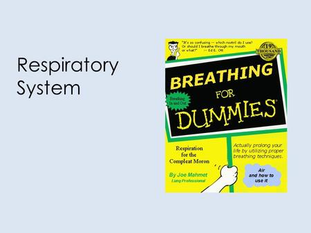 Respiratory System. RESPIRATORY STRUCTURES OUR GOALS TODAY... Identify and give functions for each of the following: – nasal cavity– pharynx – larynx–