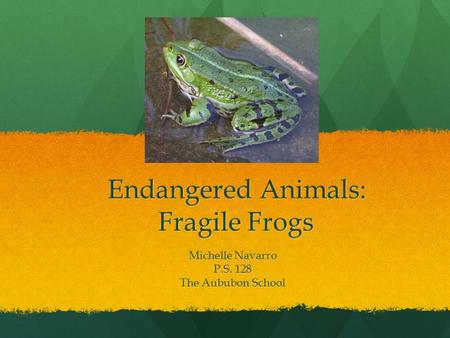 Endangered Animals: Fragile Frogs