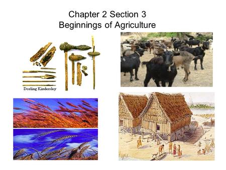 Chapter 2 Section 3 Beginnings of Agriculture