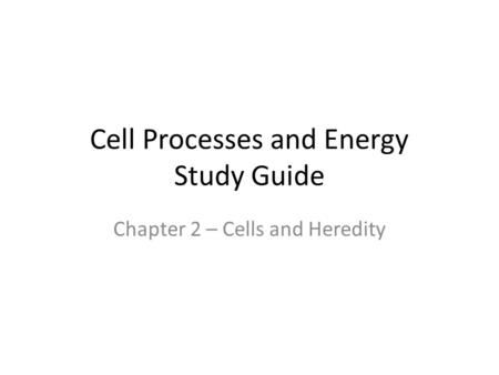 Cell Processes and Energy Study Guide