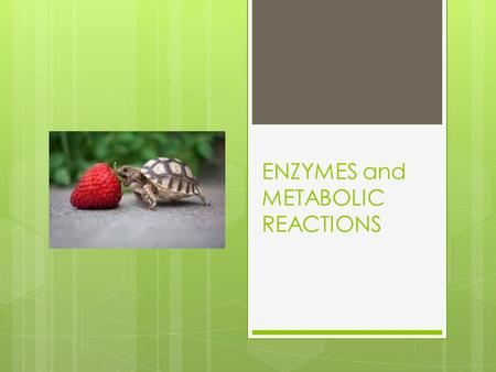 ENZYMES and METABOLIC REACTIONS.  How do reactions occur in cells ?  Molecules are in constant motion  Collisions between molecules allow reactions.