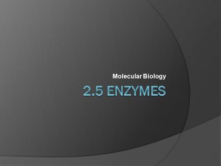 Molecular Biology.  Enzymes are globular proteins that work as catalysts  Catalysts speed up chemical reactions without being altered themselves  Enzymes.