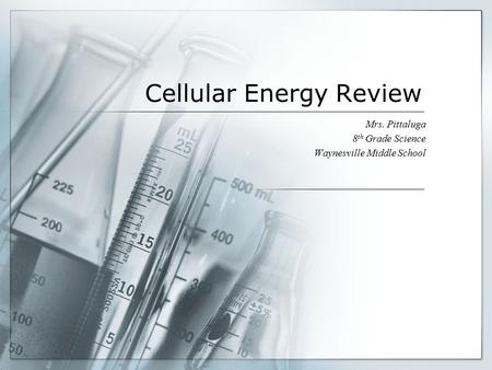 Cellular Energy Review Mrs. Pittaluga 8 th Grade Science Waynesville Middle School.